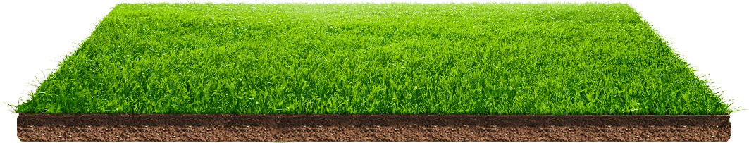 Field Green HQ Image Free PNG Image