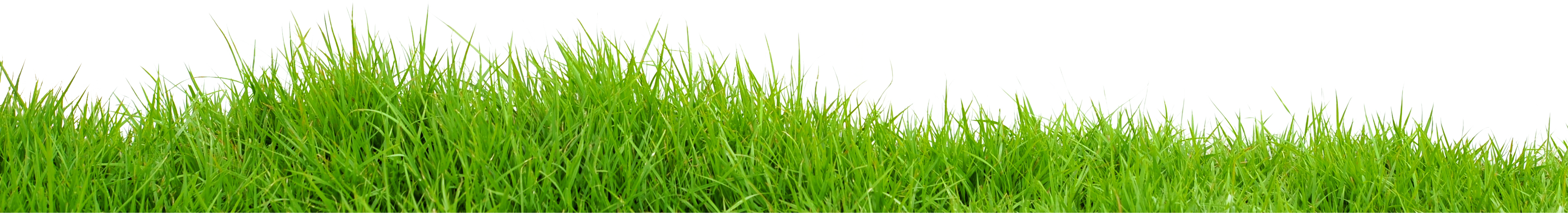 Field Green Photos HD Image Free PNG Image