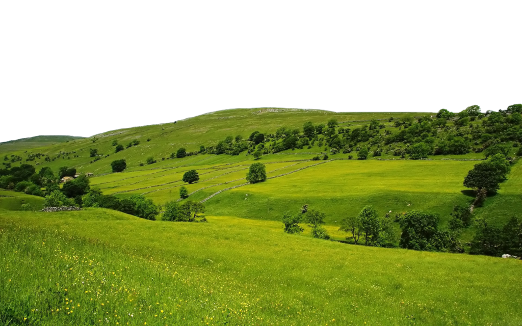 Field Green Landscape Free Clipart HQ PNG Image