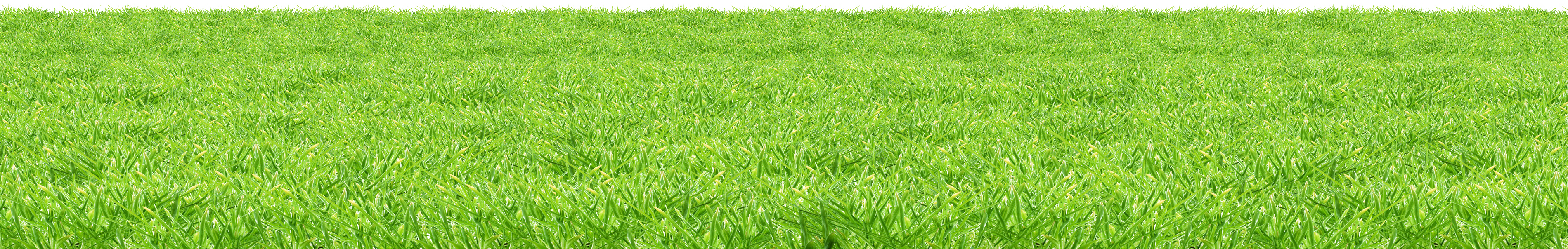 Summer Green Field Free Download PNG HD PNG Image