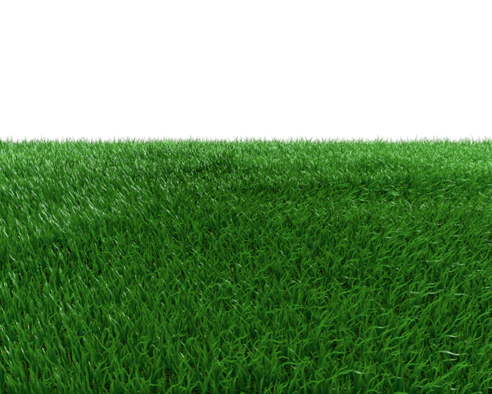 Field Transparent Background PNG Image