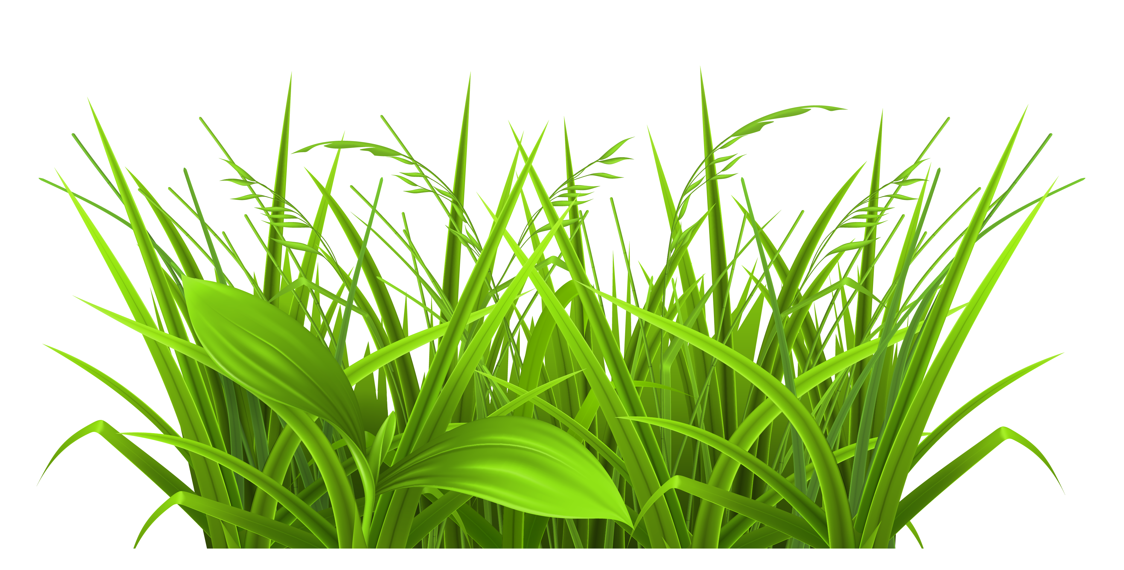 Field File PNG Image