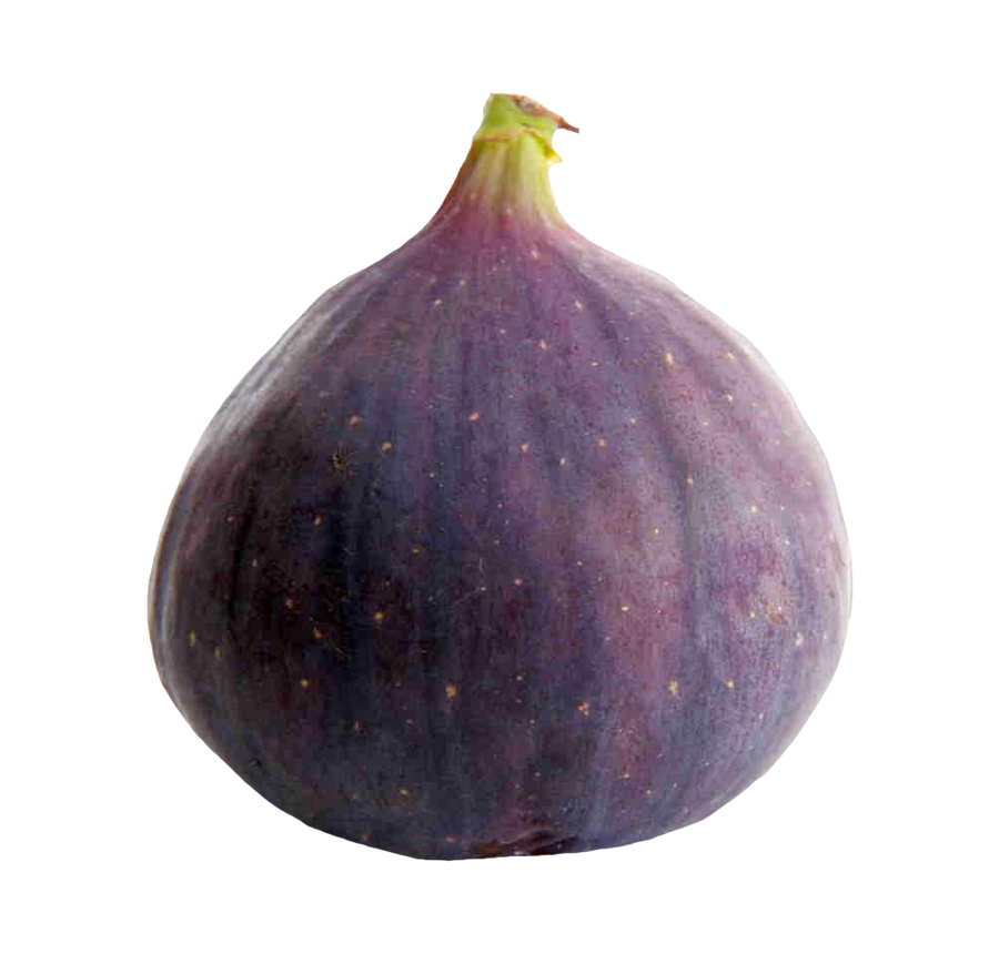 Fresh Fig PNG Free Photo PNG Image