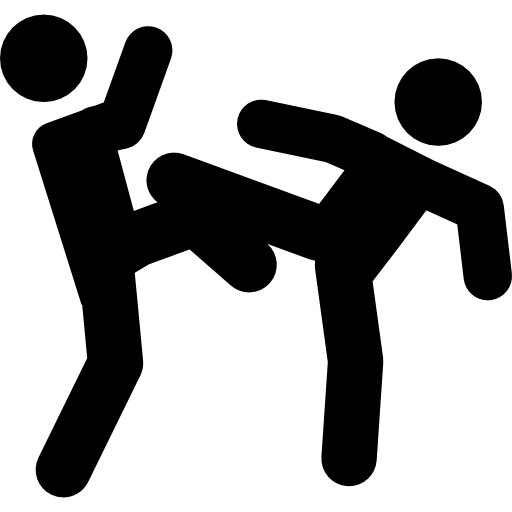 Fight Photos PNG Image