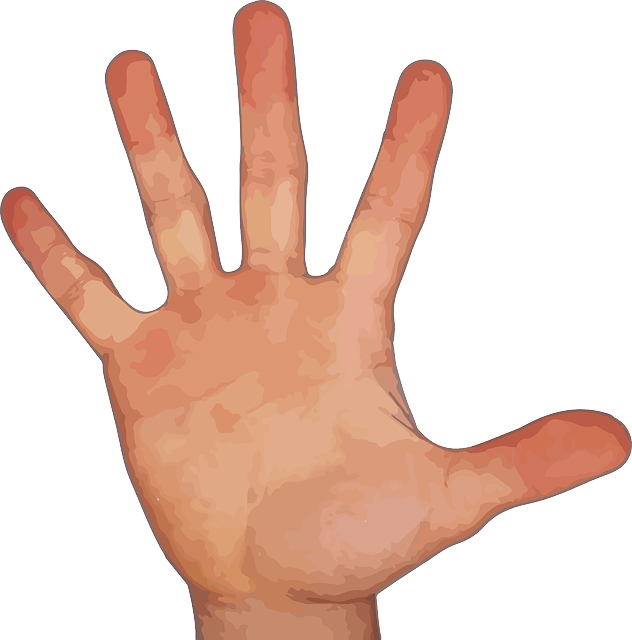 Five Fingers Png Image PNG Image