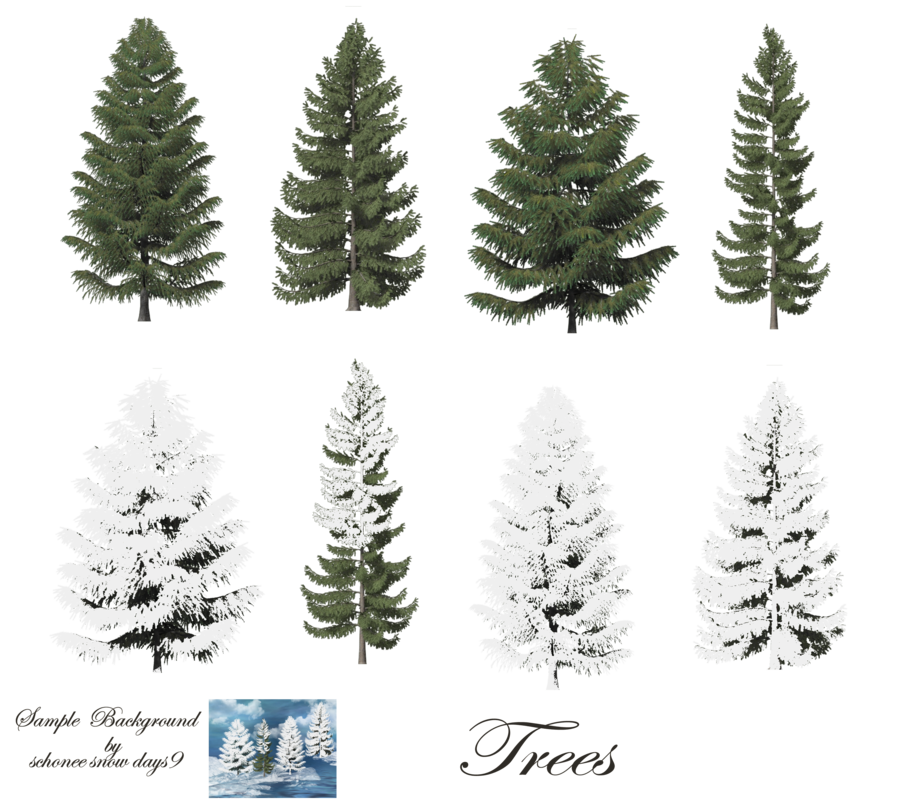 Fir-Tree Free Png Image PNG Image