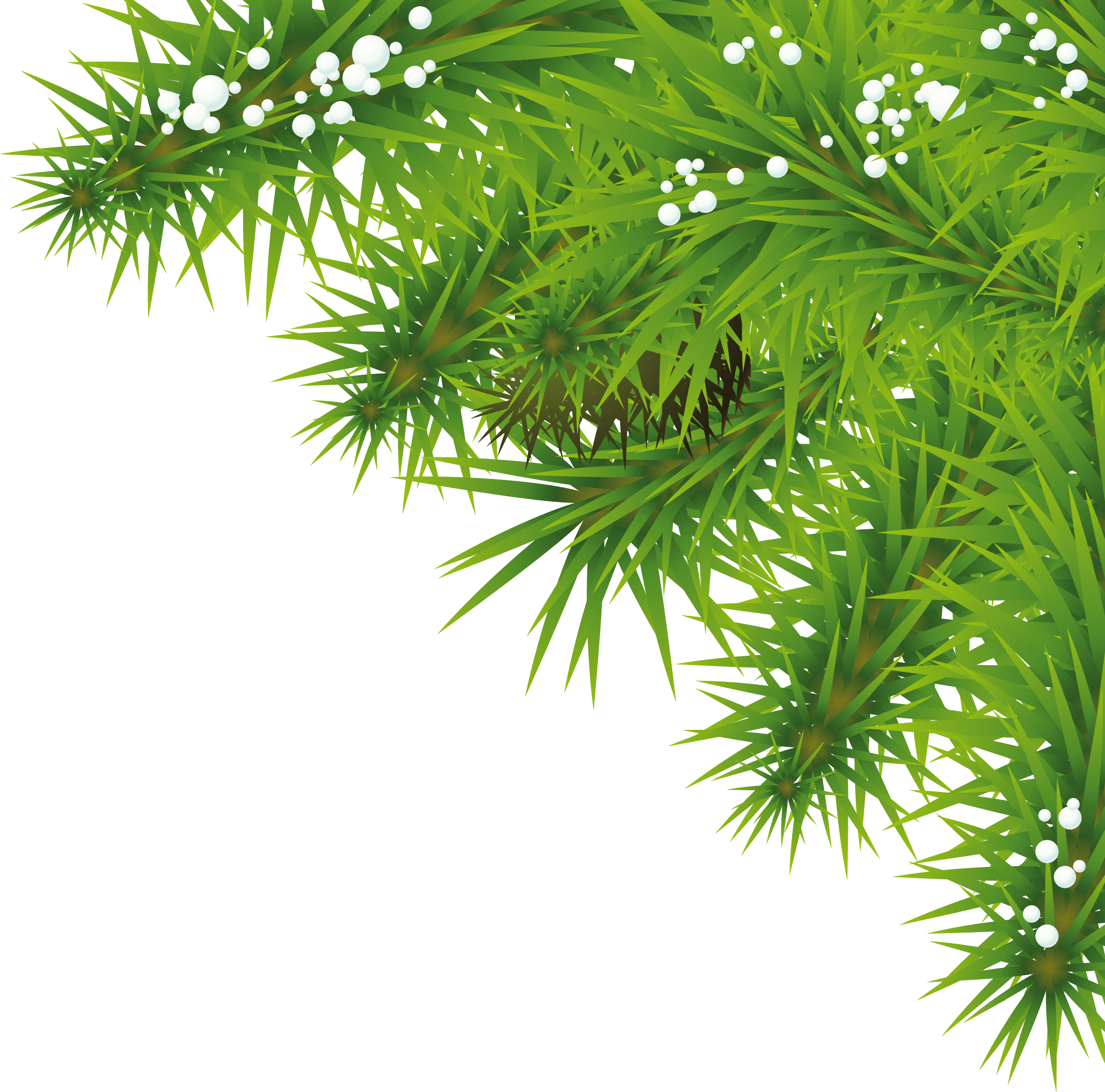 Fir-Tree Png Image PNG Image