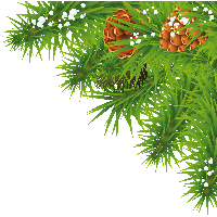 Fir-Tree Branch Png Image