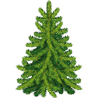 Fir-Tree Png Image