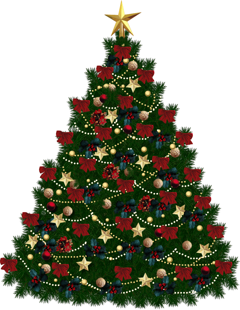 Fir-Tree Png Image PNG Image