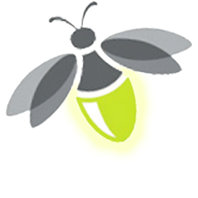 Firefly Transparent PNG Image