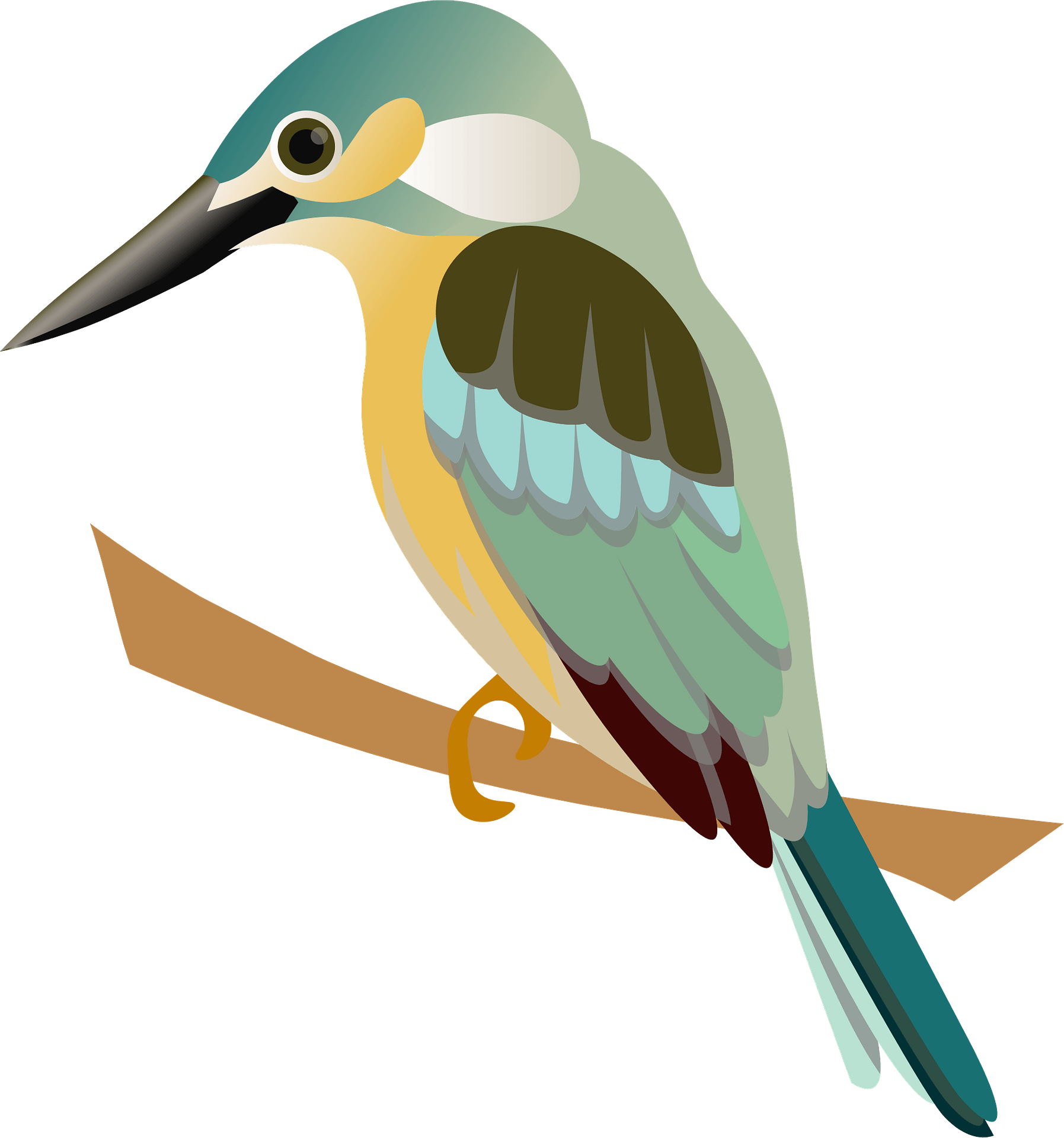 Kingfisher Bird Beak PNG Image High Quality PNG Image