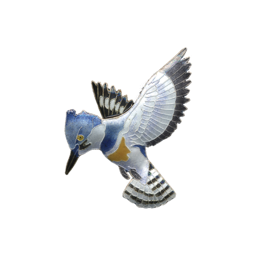 Kingfisher Bird Free Download PNG HQ PNG Image