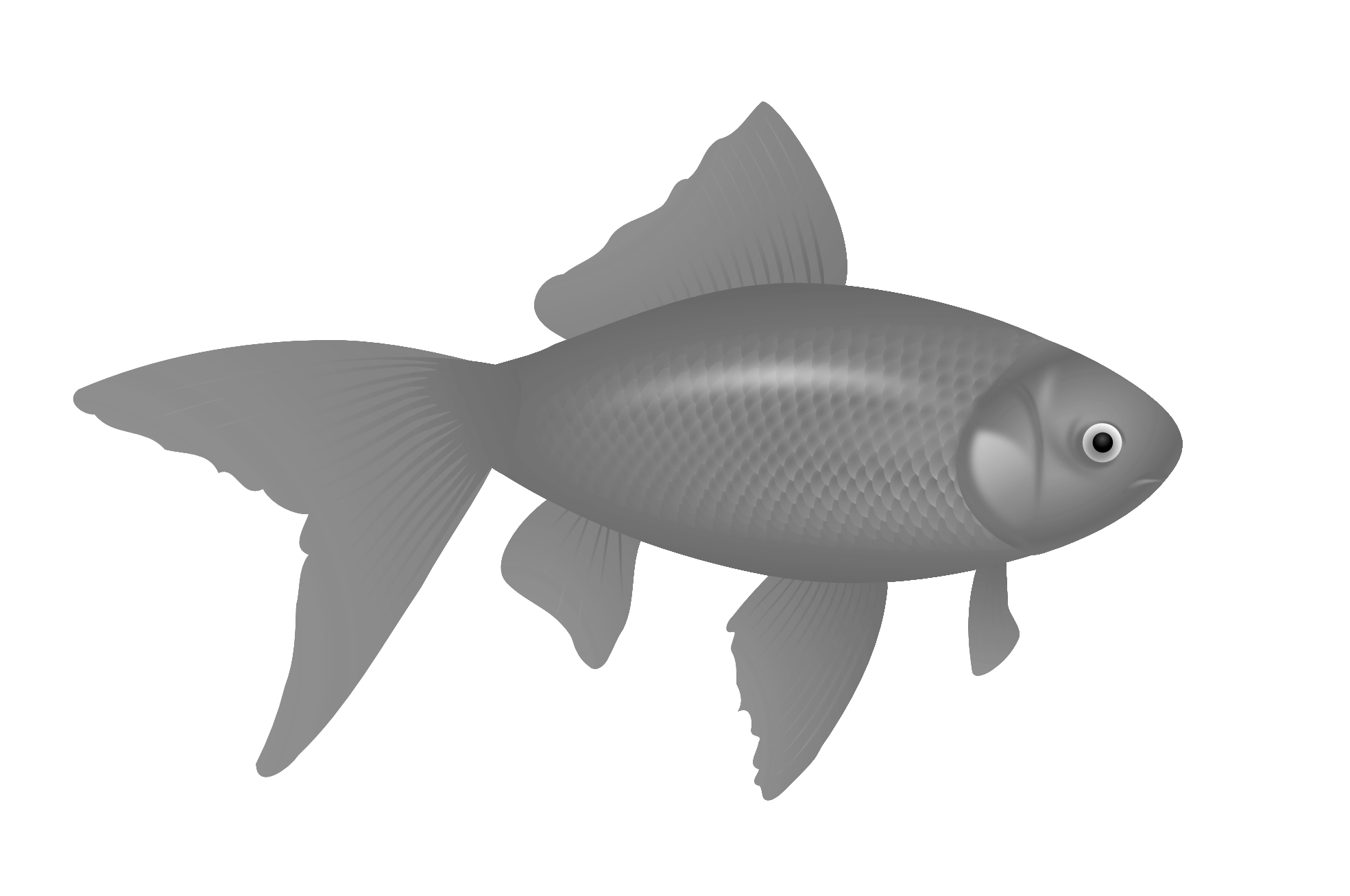 Fish Png Image PNG Image