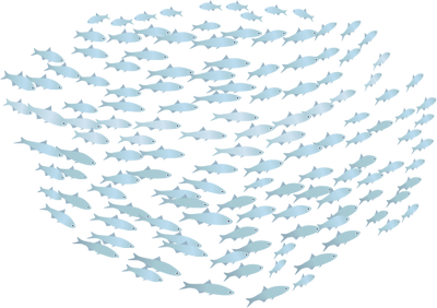 School Of Fish PNG Image