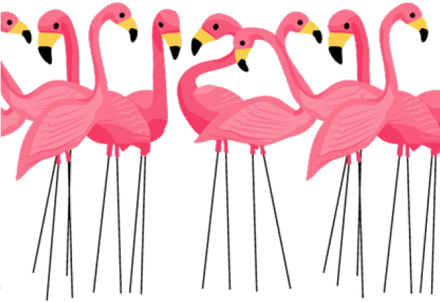 Vector Flamingo Love Bird Free Photo PNG Image