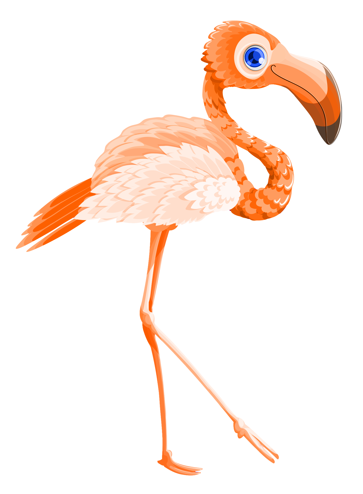Vector Walking Flamingo Bird Free Download PNG HD PNG Image