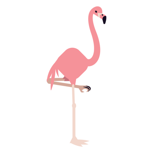 Tropical Flamingo Bird Vector Free PNG HQ PNG Image