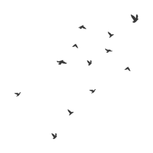Of Flock Flying Birds Free Download PNG HQ PNG Image