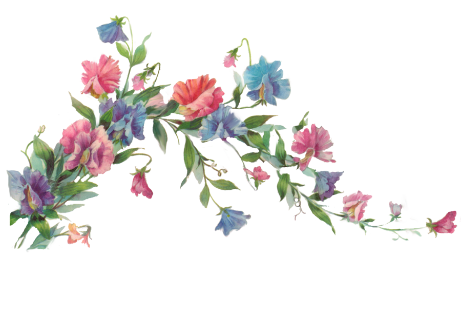 Floral Transparent PNG Image