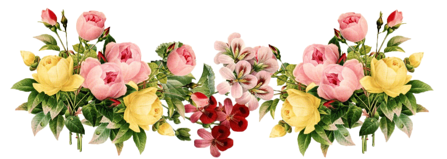 Floral Transparent Picture PNG Image
