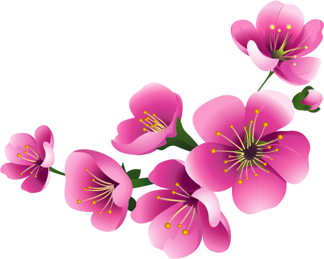 Blossom Flower Free PNG HQ PNG Image