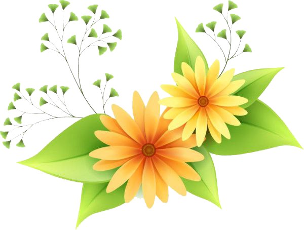 Vector Flower Free PNG HQ PNG Image