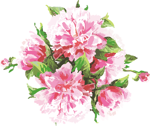 Pink Watercolor Flowers Vector Free Clipart HQ PNG Image