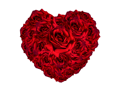 Heart Flower Red PNG Free Photo PNG Image