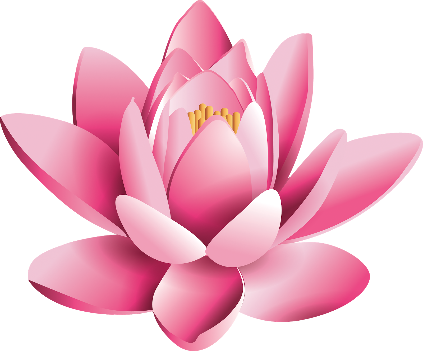 Pink Lotus Flower Pic Free Photo PNG Image