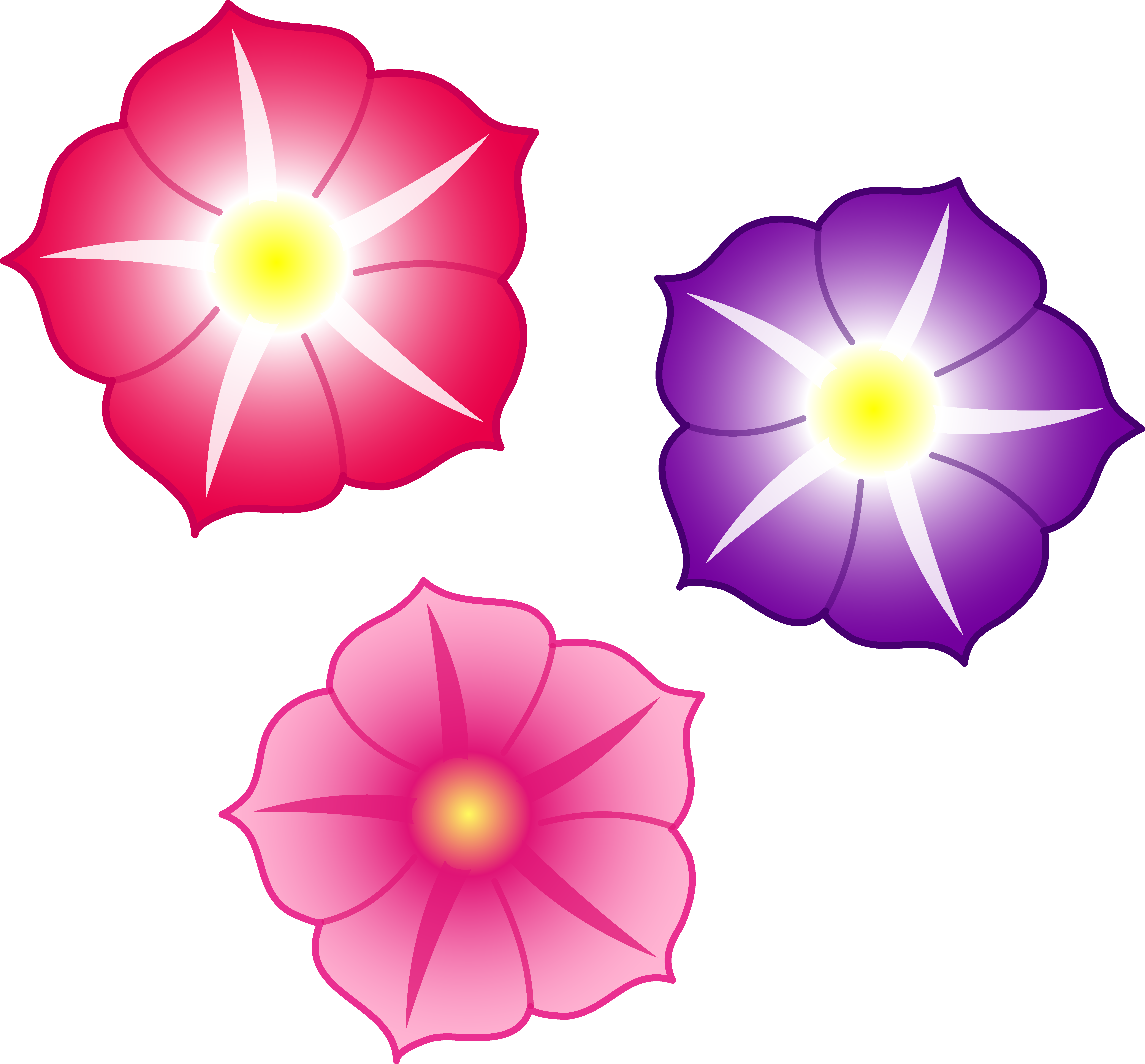 Colorful Flowers File PNG Image