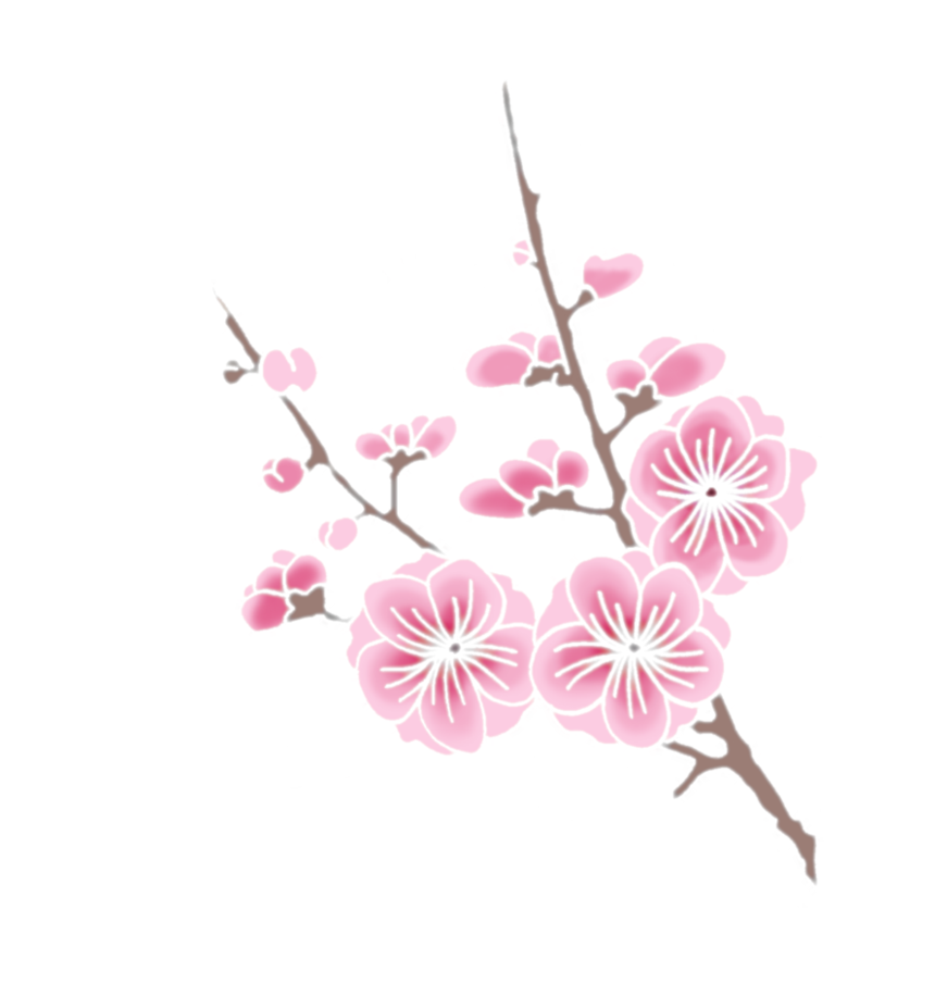 Cherry Blossom Clipart PNG Image