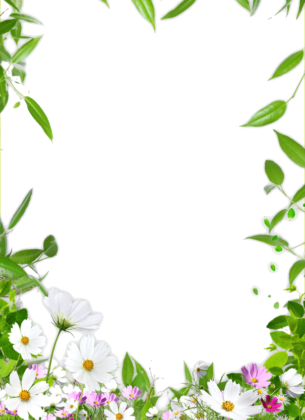 Picture Ceiling Flower Frame Border Drawing PNG Image