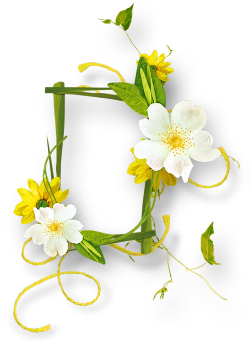 Frame Flower PNG Free Photo PNG Image