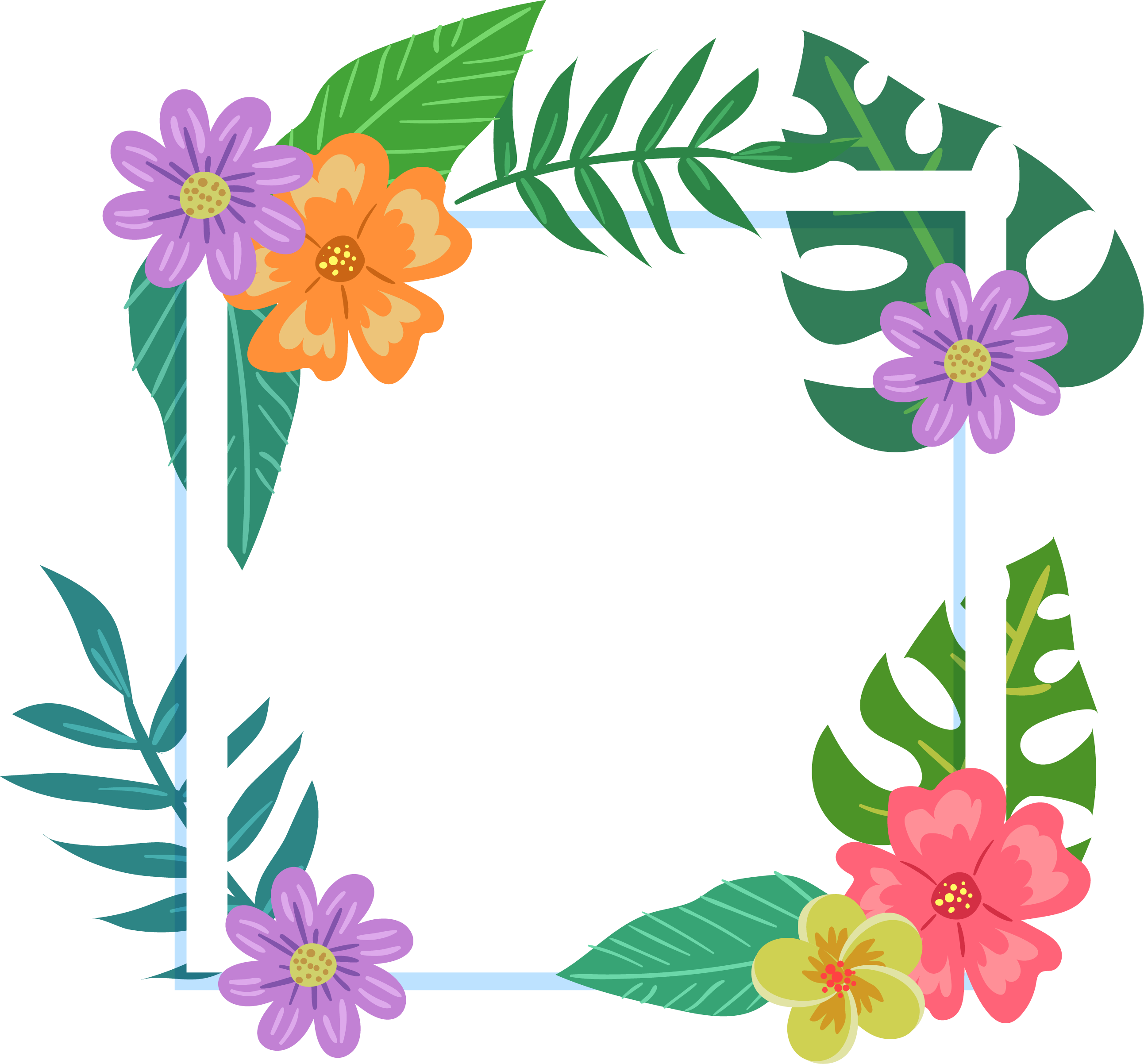 Picture Flower Colorful Tropics Frame Film PNG Image