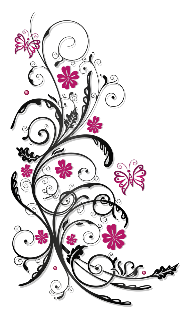Pink Flower Photography Ornaments Tendril Stock PNG Image