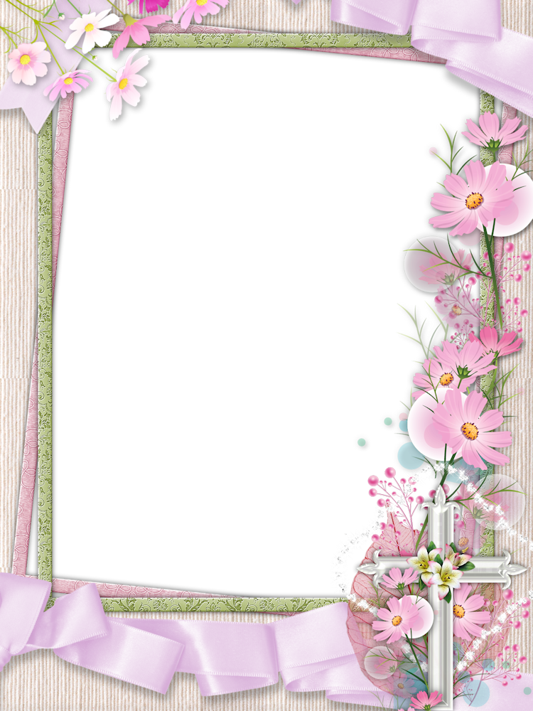 Pink Picture Frame Flower Transparent Download Free Image PNG Image