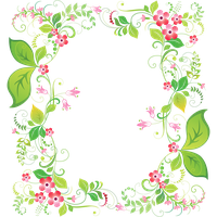 Frames Picture Frame Flower Free Download Image