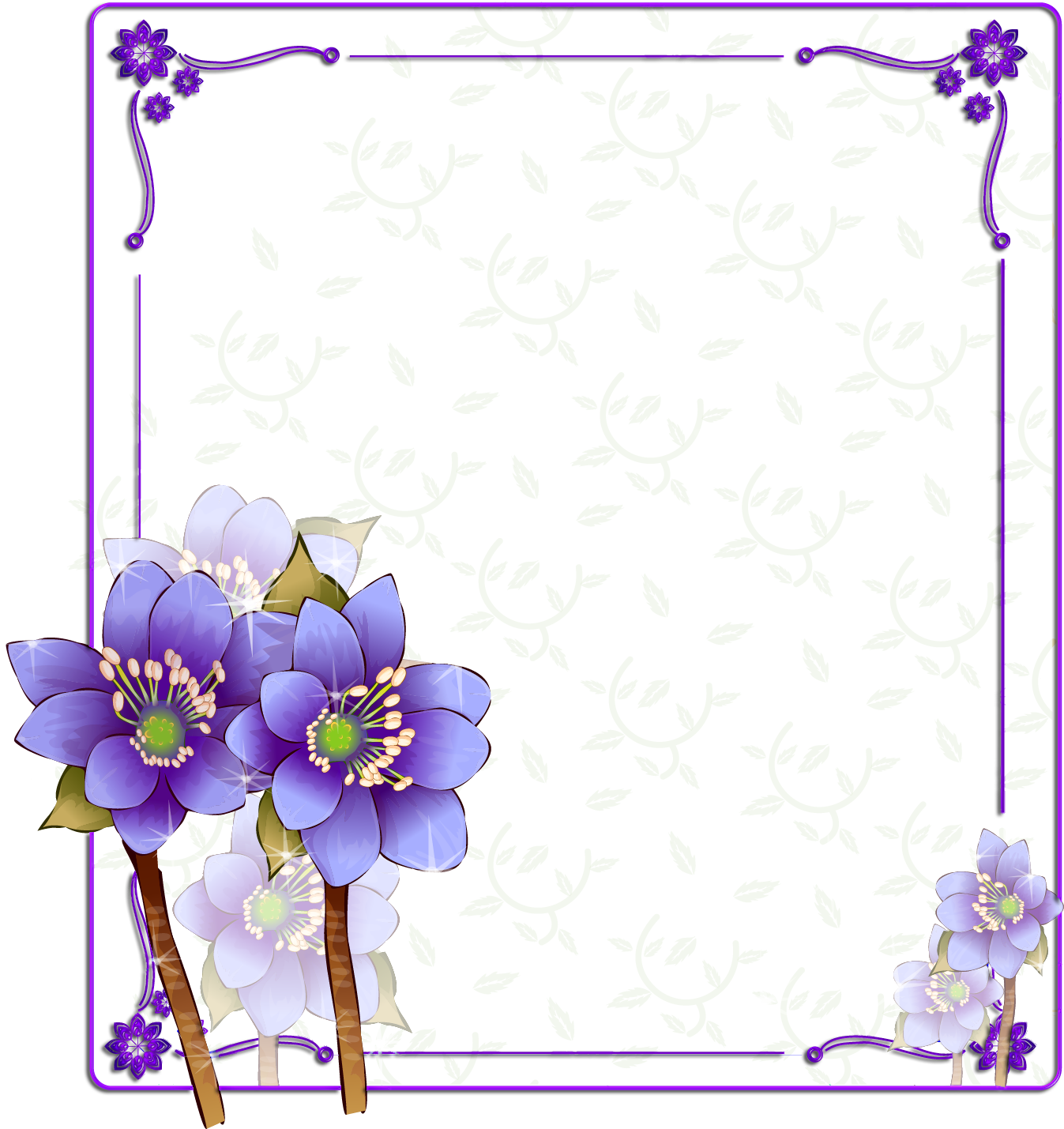 Purple Color Photography Flower Frame Free Download PNG HD PNG Image