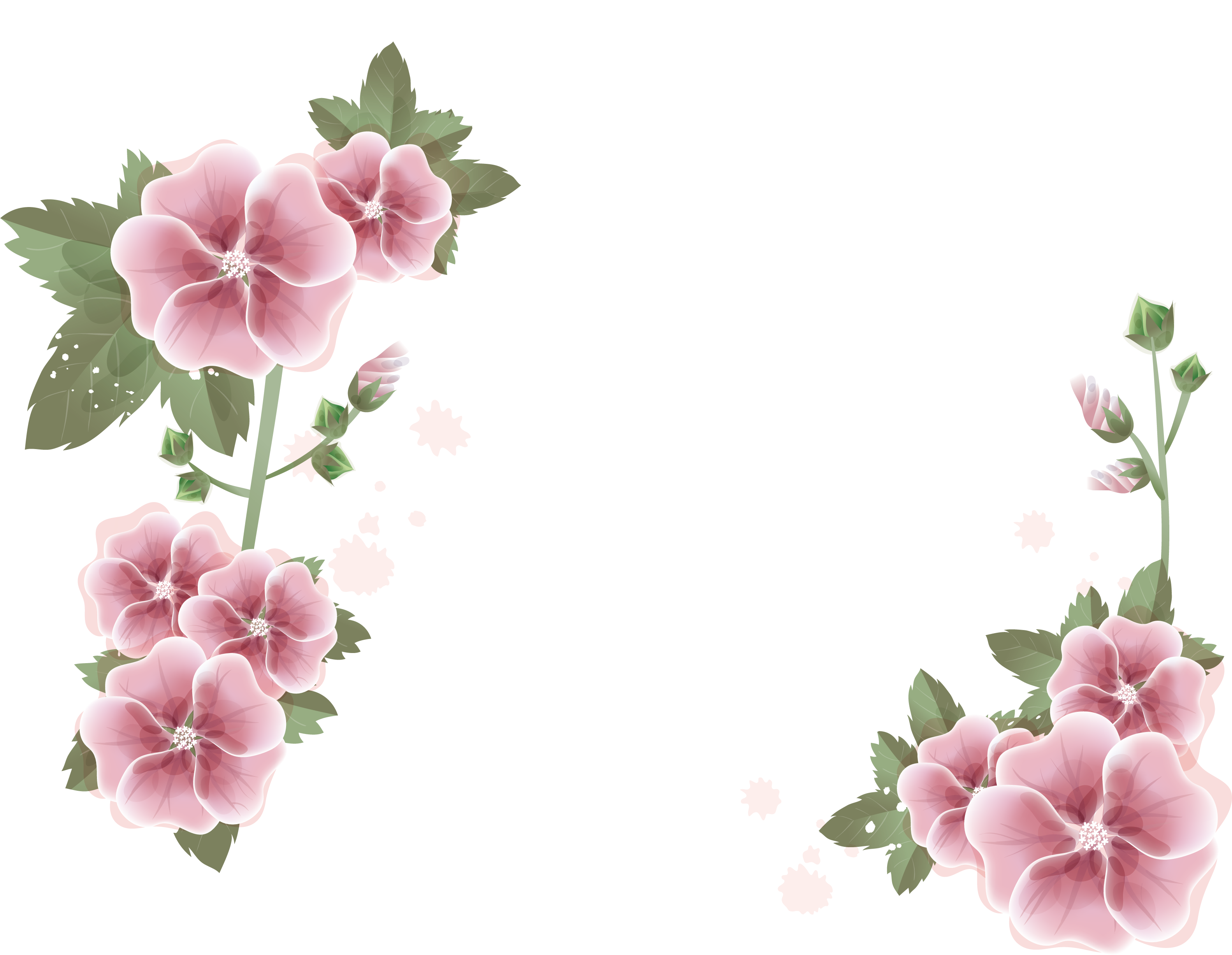 Pink Flower Photography Royalty-Free Border Stock PNG Image