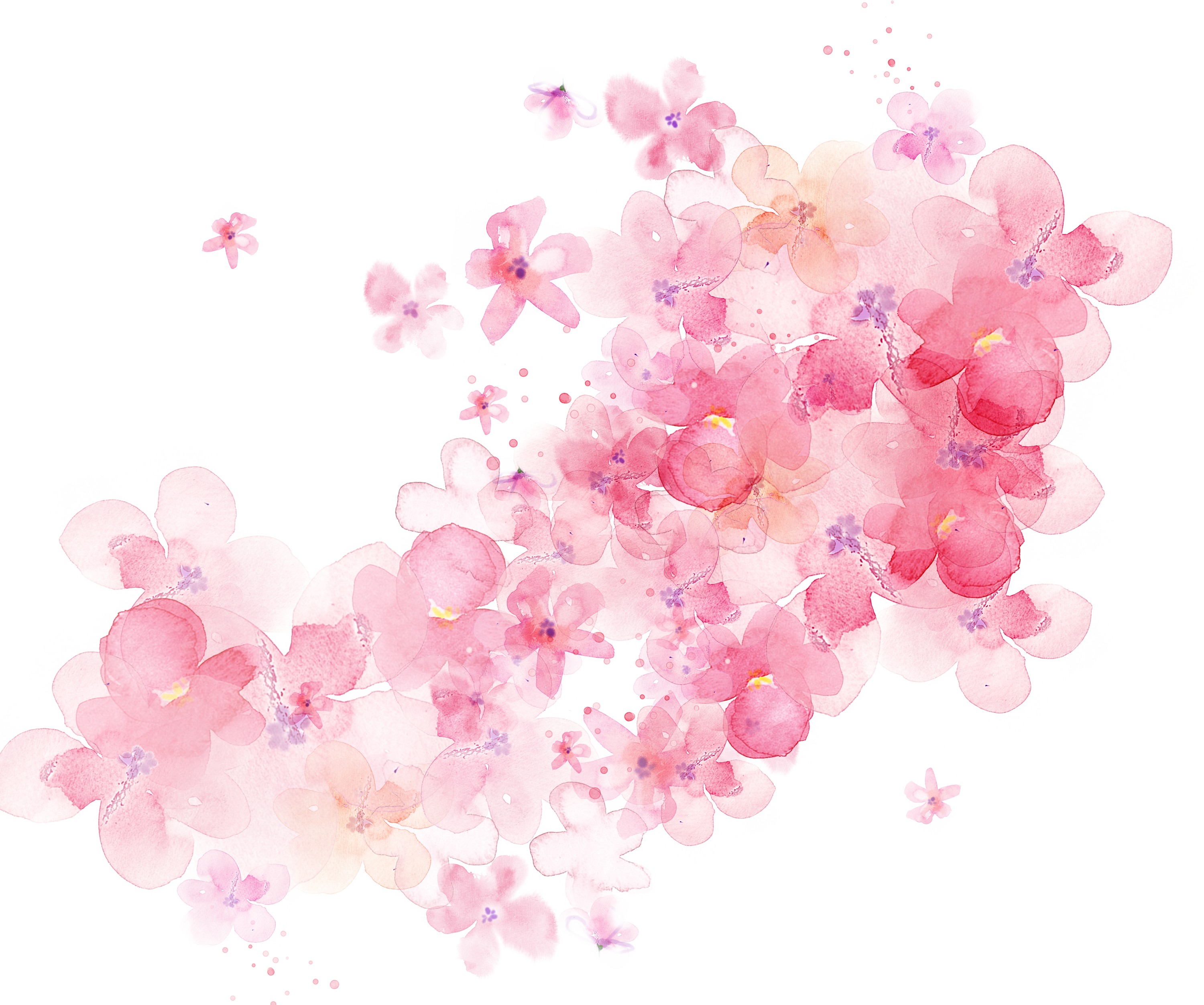 Watercolor Shading Flowers Flower Painting Free Transparent Image HD PNG Image