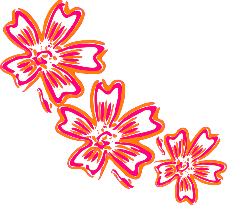 Flower Artwork Free Photo PNG Image