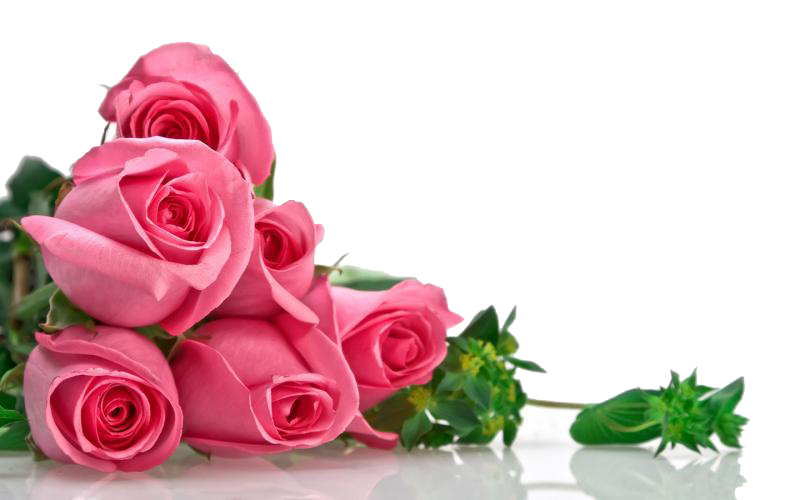 Pink Roses Flowers Bouquet Transparent Image PNG Image