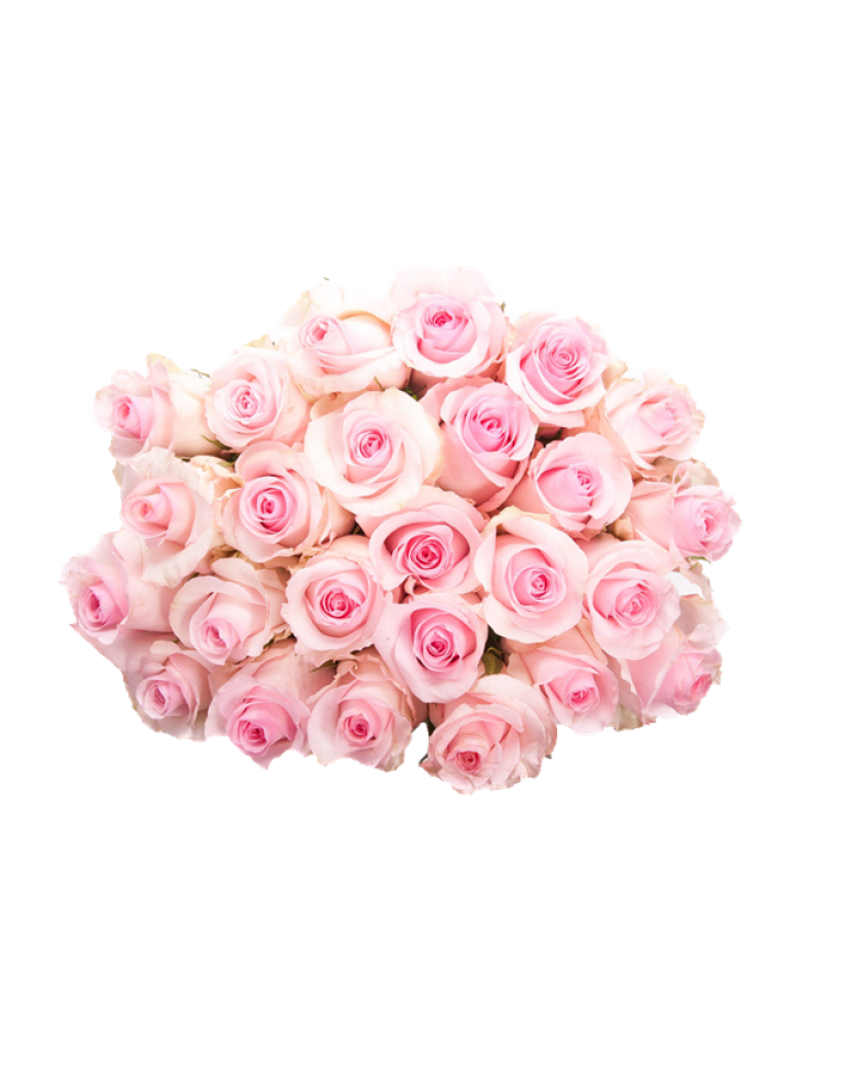 Pink Roses Flowers Bouquet PNG Image