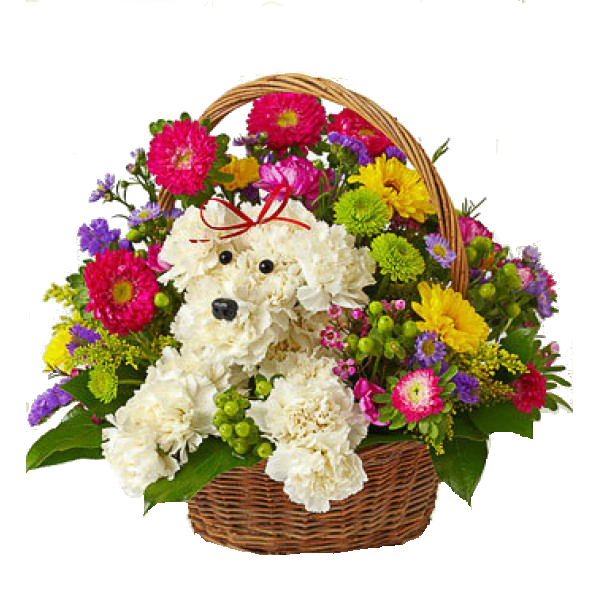 Birthday Flowers Bouquet Transparent Image PNG Image