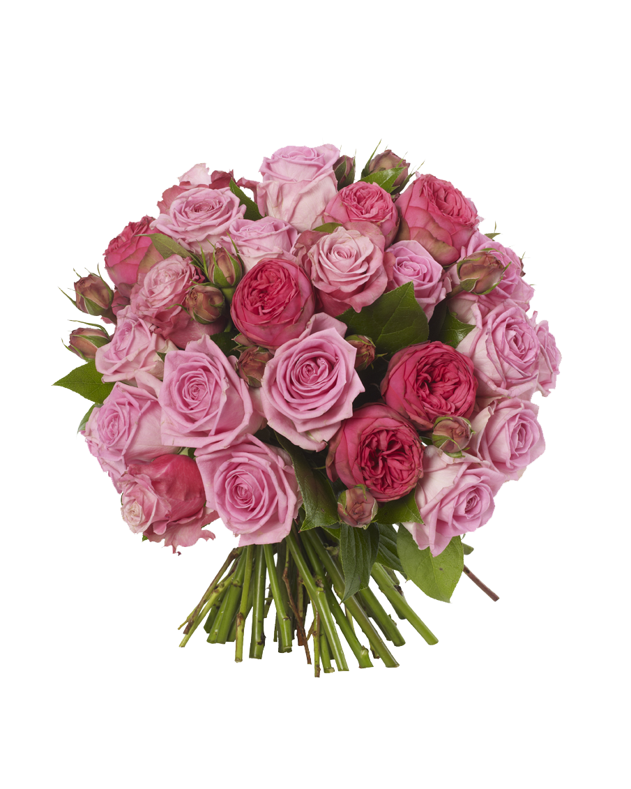 Pink Roses Flowers Bouquet Free Download PNG Image
