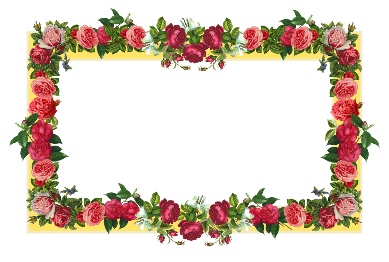 Flowers Borders Png Images PNG Image