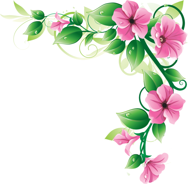 Flowers Borders Png Image PNG Image