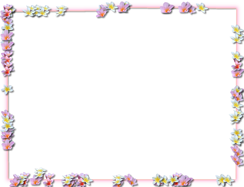 Flowers Borders Png Pic PNG Image