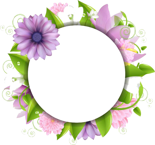 Flowers Borders Picture PNG Image